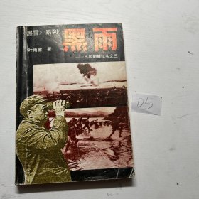 《黑雪》系列 黑雨——出兵朝鲜纪实之三