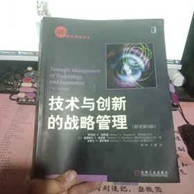 技术与创新的战略管理