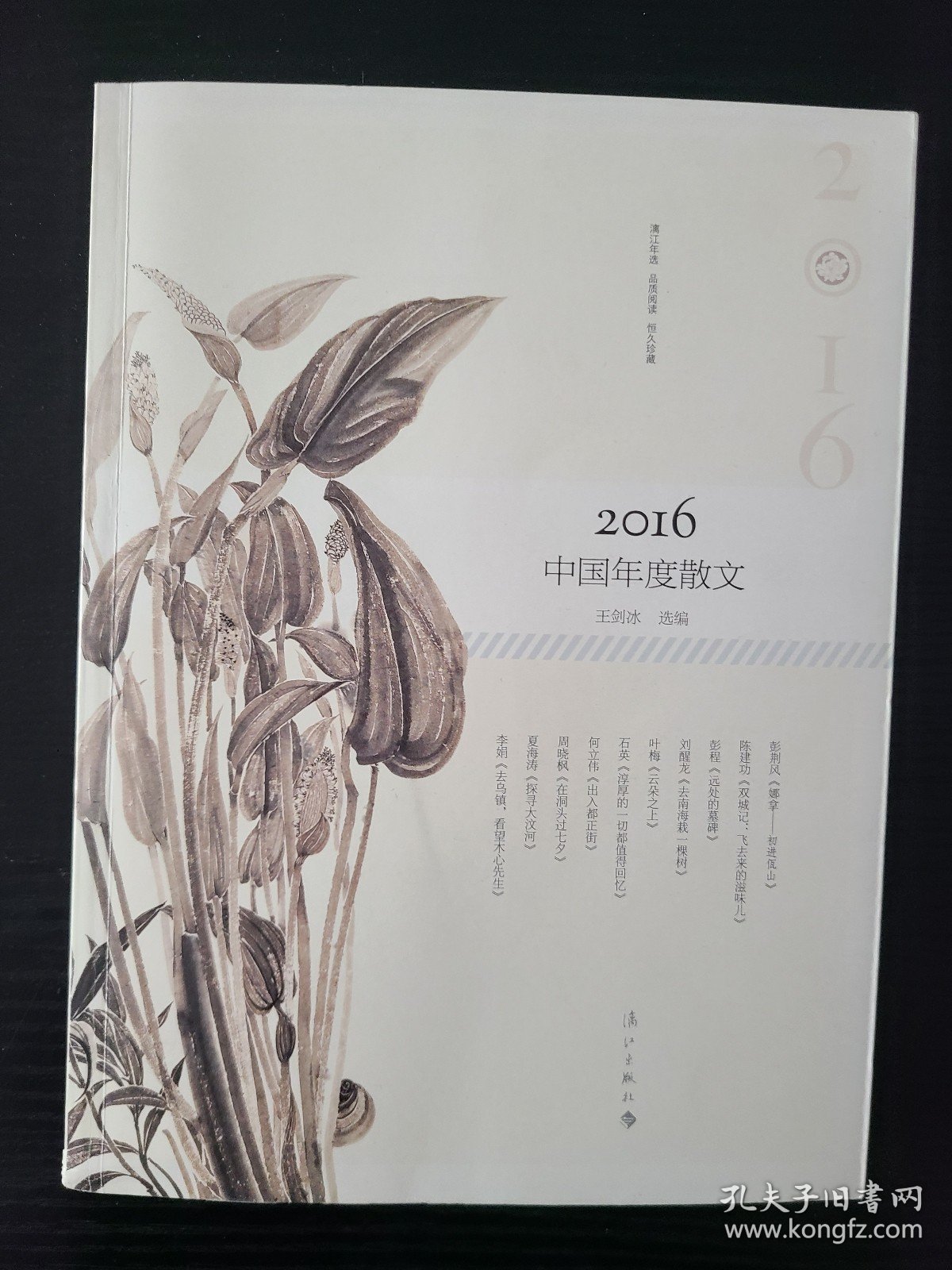 2016中国年度散文