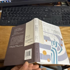 莱辛作品：好邻居日记(简·萨默斯日记1)