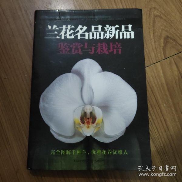 兰花名品新品鉴赏与栽培