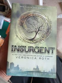 Insurgent (Divergent Trilogy #2)反叛者 分歧者系列第二部 英文原版(品相如图)