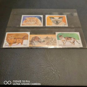 欧洲 我们的家庭成员-宠物猫与狗盖销邮票 非常生动！包邮！全品 收藏