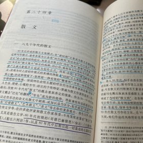 中国当代文学史 （修订版）