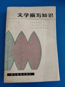 文学描写知识