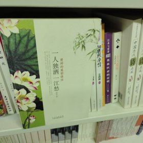 一人独洒一江愁：楚辞的美丽读法