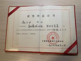 荣誉证书《高楼拔地起并非全是喜》，评论一等奖