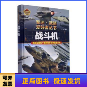 戰(zhàn)斗機(jī)(彩色珍藏版)