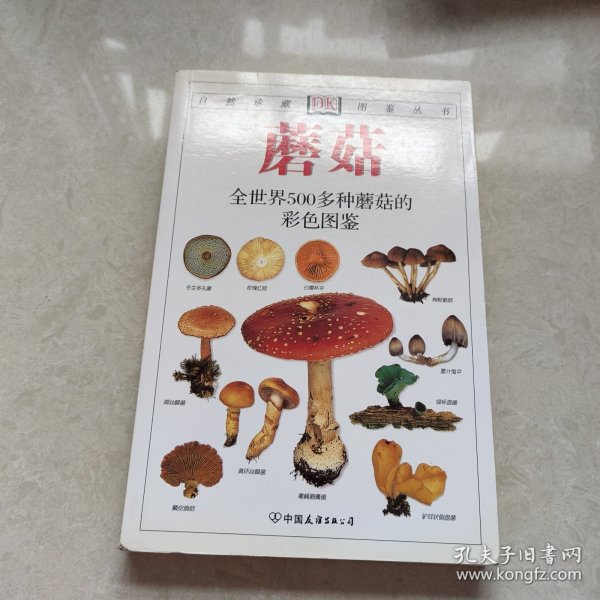 蘑菇：全世界500多种蘑菇的彩色图鉴