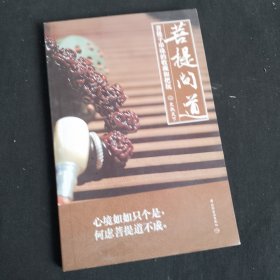 菩提问道-菩提子串珠的收藏和把玩