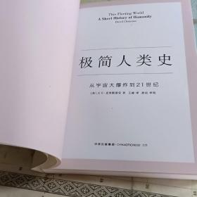 极简人类史：从宇宙大爆炸到21世纪