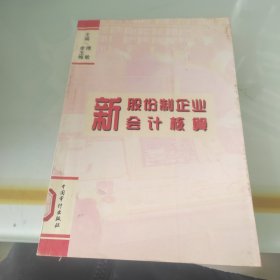 新股份制企业会计核算