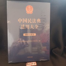 中国民法典适用大全（婚姻家庭卷）