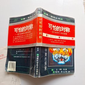 可怕的对称：现代物理学中美的探索