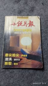 小说月报2007年增刊