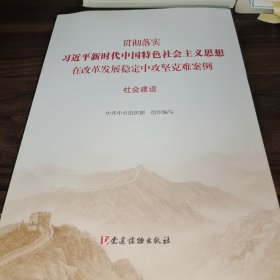 社会建设（贯彻落实习近平新时代中国特色社会主义思想在改革发展稳定中攻坚克难案例）