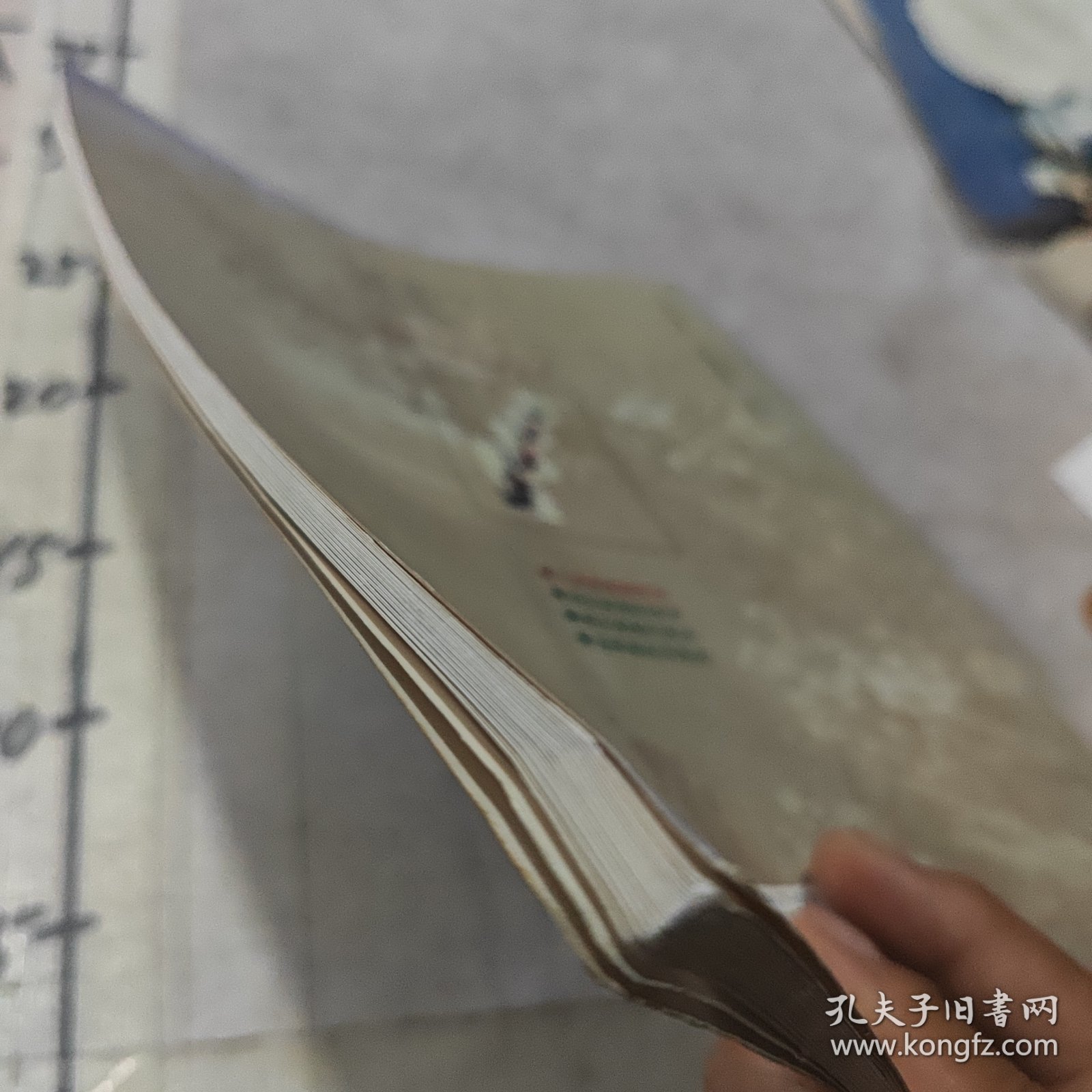 王成喜画梅技法