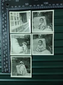 约六十年代可爱的儿童照片一组5张，A1