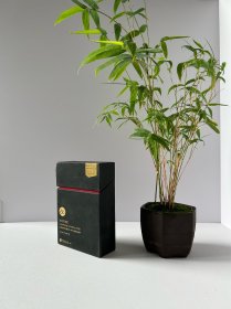 惜分飞系列·晚清文物明信片：古迹的消逝（晚清民国时期中国古寺、古碑、古塔遗迹明信片）