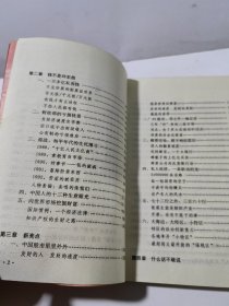 中国沉思录:1979-1992改革热点纪实