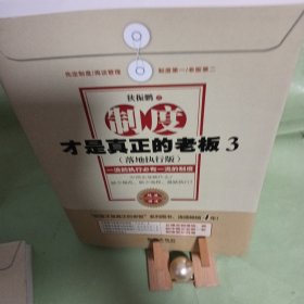制度才是真正的老板3：一流的执行必有一流的制度（落地执行版）