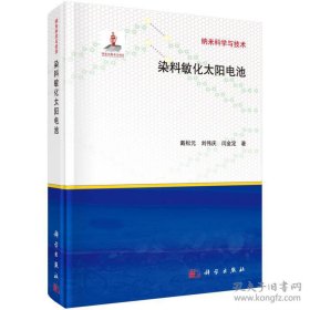 纳米科学与技术：染料敏化太阳电池
