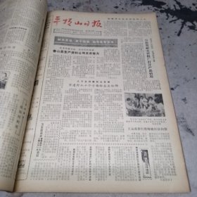 平顶山日报合订本1984年六月