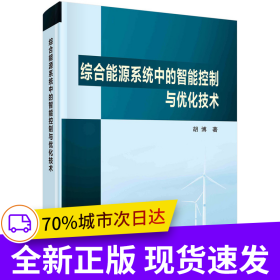 综合能源系统中的智能控制与优化技术