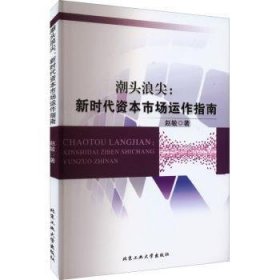 潮头浪尖：新时代资本市场运作指南 赵敏著 北京工业大学出版社