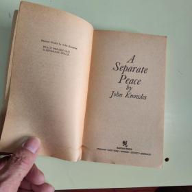 A SEPARATE PEACE: BY JOHN KNOWLES【084】