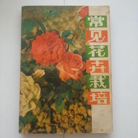 常见花卉栽培