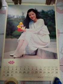 1991年挂历 美的召唤 ~仅存9张( 何赛飞 吕丽 黎涓 任小梅 张明明 方清子 李婷婷 关晓春 王元夏