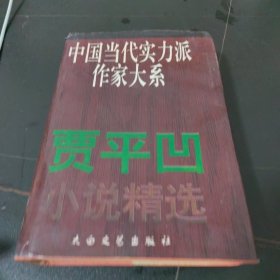 中国当代实力派作家大系