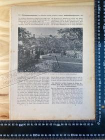 1901年德文出版物散页（老照片印刷品）——（1张）——[CA07+A0117b]——德国公使克林德下葬仪式