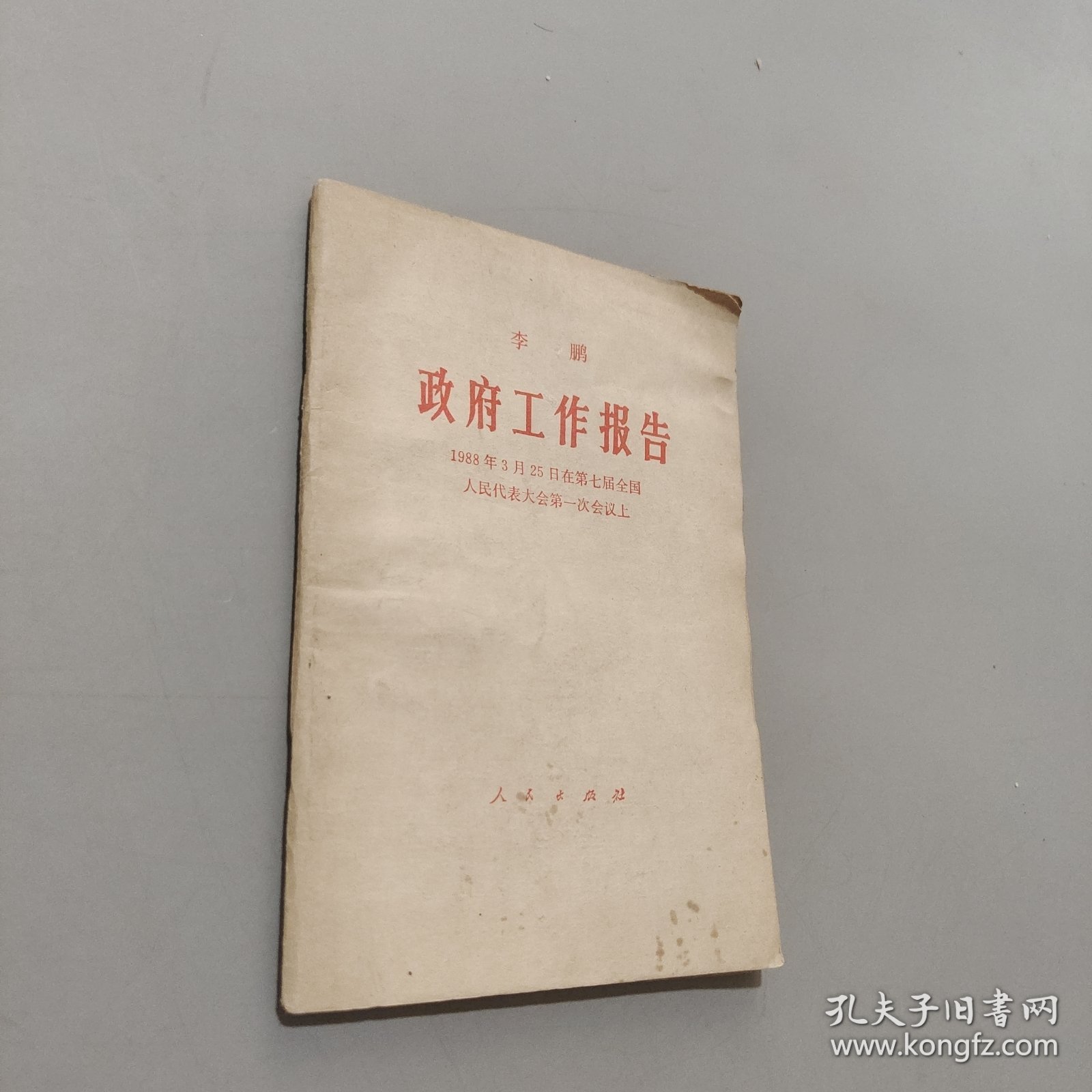 政府工作报告