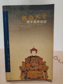 苦命天子：咸丰皇帝奕詝