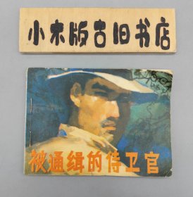 被通缉的侍卫官