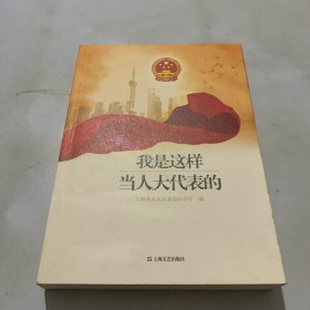 我是这样当人大代表的