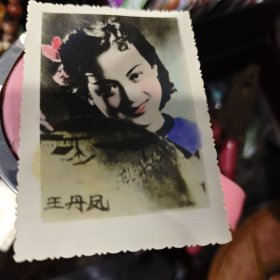 明星照片一王丹凤