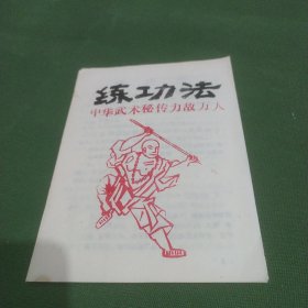 练功法(中华武术秘传力敌万人)