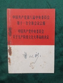 中国共产党第八届中央委员会第十一次全体会议公报