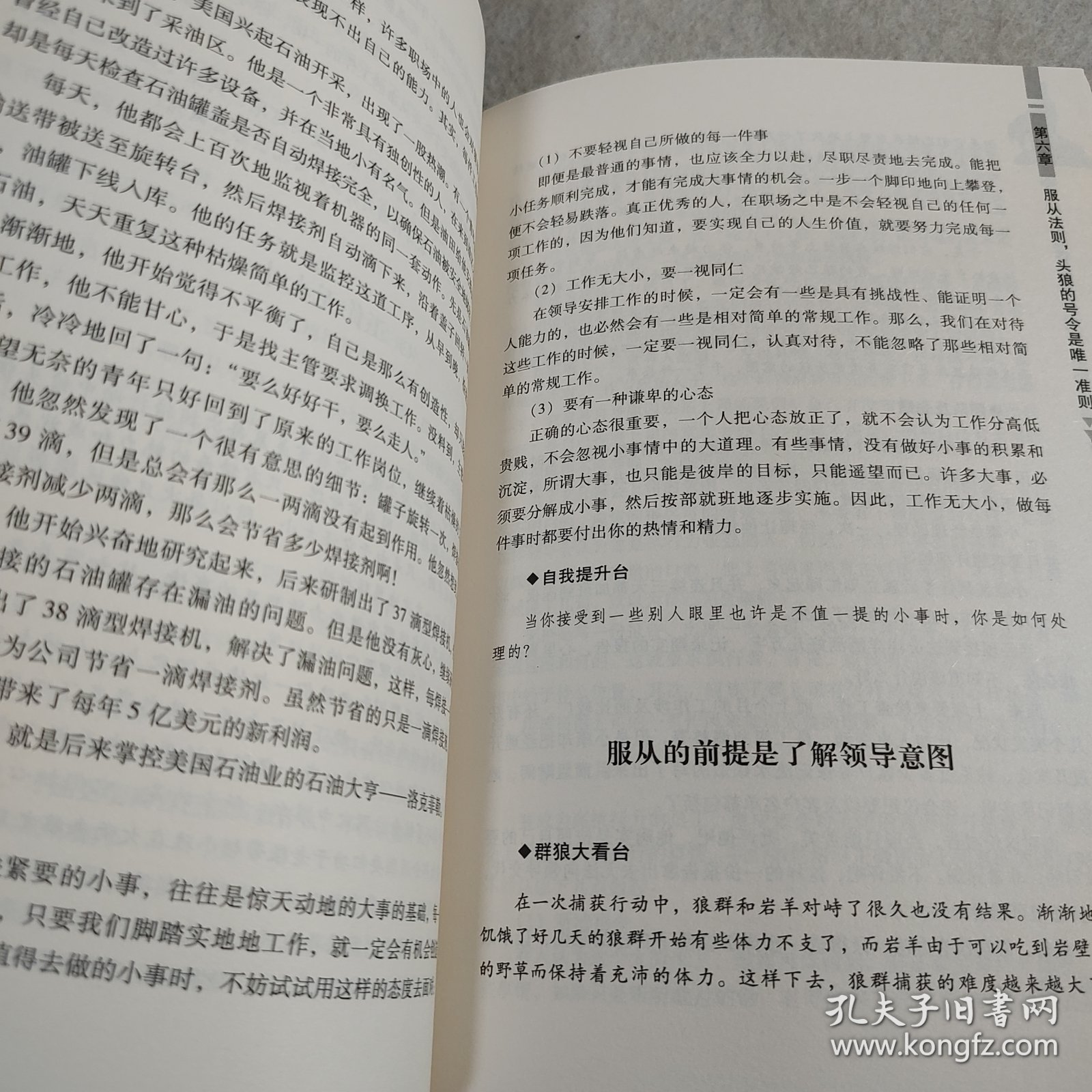 优秀团队必备的15个成功法则：群狼法则