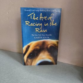 雨中赛跑的艺术The art of Racing in the Rain