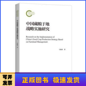 中国藏粮于地战略实施研究