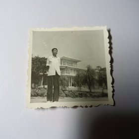 老照片–80年代白衣青年在景区留影（仰拍，身后柳树和建筑清晰可见）