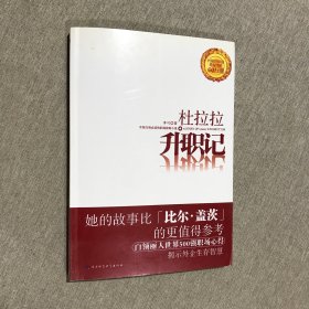 杜拉拉升职记