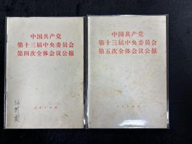 中国共产党第十三届中央委员会第四次、第五次全体会议公报