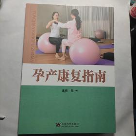 孕产康复指南      全新