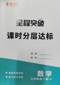 全程突破 数学九年级 全一册 R