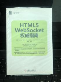 HTML5 WebSocket权威指南